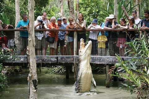 Hartley's Crocodile Adventure Half-Day Tour - Hotel Gold Coast 1