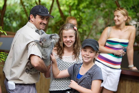 Hartley's Crocodile Adventure Half-Day Tour - Hotel Gold Coast 3