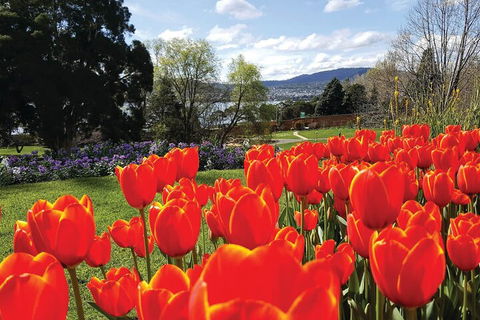 Hobart Half-Day Sightseeing Coach Tram Tour - Hotel Gold Coast 4