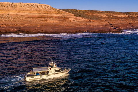 Kalbarri Sunset Coastal Cliff Cruise - Hotel Gold Coast 4