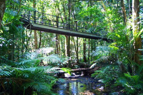 Cape Tribulation, Mossman Gorge, And Daintree Rainforest Day Trip From Cairns Or Port Douglas - Hotel Gold Coast 3