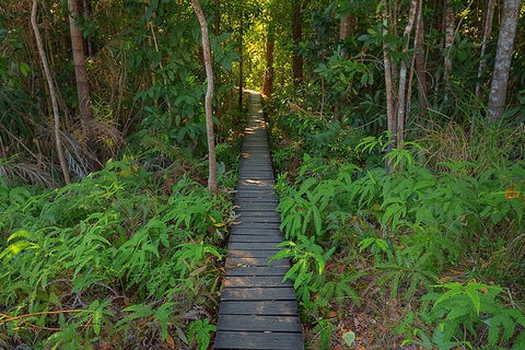 One Day Litchfield Park Adventures - Hotel Gold Coast 4