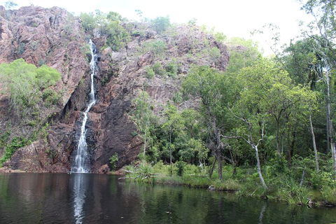 Jumping Crocodile Cruise And Berry Springs Nature Park - Hotel Gold Coast 5