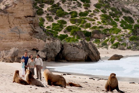 Kangaroo Island Scenic Trail Tour - Hotel Gold Coast 5