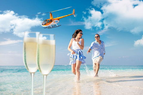 Private Coral Cay Bubbles Tour - Hotel Gold Coast 4