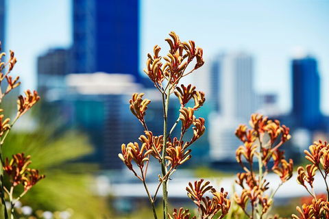 Best Of Perth Wildflower Season Day Trip - Hotel Gold Coast 4