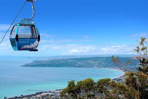 Peninsula Hot Springs Tour With Restaurant Lunch & Gondola Ride - Hotel Gold Coast 1