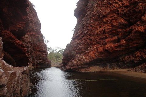 West MacDonnell Ranges Half - Day Tour - Hotel Gold Coast 4