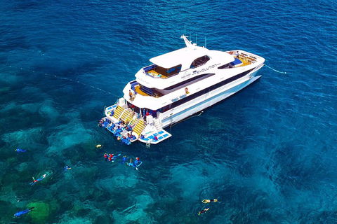 Great Barrier Reef Snorkeling And Diving Cruise From Cairns - Hotel Gold Coast 5
