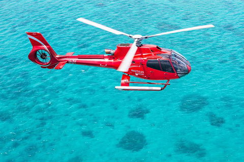 Helicopter And Cruise Packages From Port Douglas - Hotel Gold Coast 5