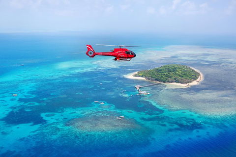 Ultimate Great Barrier Reef And Rainforest 45-minute Helicopter Tour - Hotel Gold Coast 4