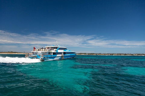 Perth To Rottnest Island Roundtrip Ferry Ticket - Hotel Gold Coast 4