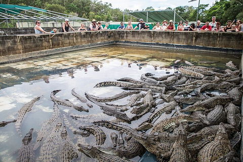 Hartley's Crocodile Adventures Day Trip From Palm Cove - Hotel Gold Coast 0