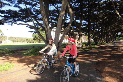 Self-Guided Point Nepean National Park Bike Hire - Hotel Gold Coast 2