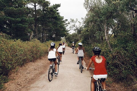 Self-Guided Point Nepean National Park Bike Hire - Hotel Gold Coast 3
