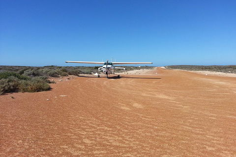 Abrolhos Islands Scenic Flight & Snorkel Adventure From Perth - Hotel Gold Coast 3