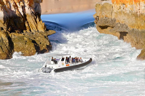 Horizontal Falls Half-Day Tour From Broome - Hotel Gold Coast 1