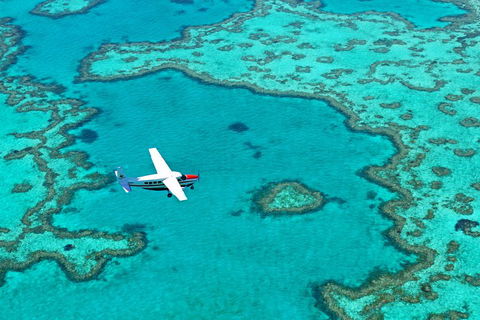 Reef And Island Scenic Flight From Airlie Beach - Hotel Gold Coast 4