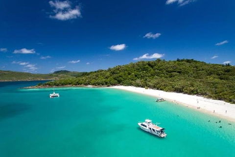 Whitehaven Beach And Hill Inlet | Awesome Beach BBQ | Family Friendly - Hotel Gold Coast 3