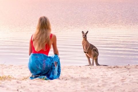 Serenity Cruise To Australia's Everglades - Hotel Gold Coast 3