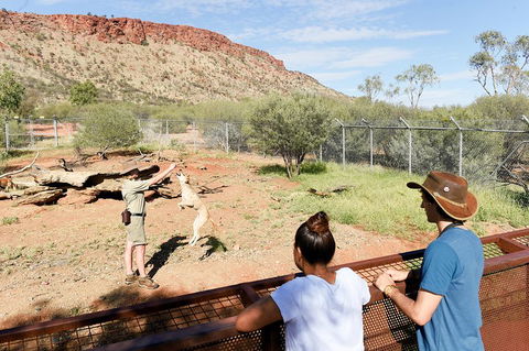 Alice Springs Desert Park General Entry Ticket - Hotel Gold Coast 4