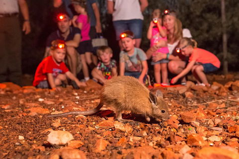Alice Springs Desert Park Nocturnal Tour - Hotel Gold Coast 1
