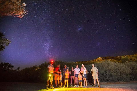 Alice Springs Desert Park Nocturnal Tour - Hotel Gold Coast 2