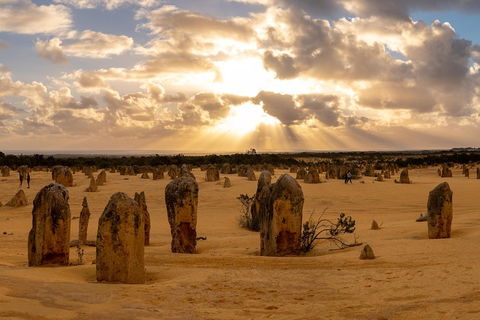 Half Day Pinnacles Sunset Tour - Hotel Gold Coast 0