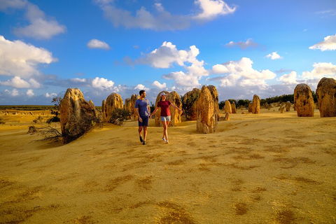 Half Day Pinnacles Sunset Tour - Hotel Gold Coast 1