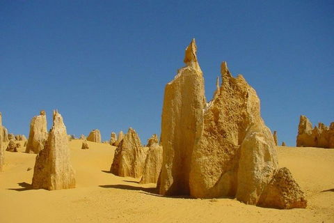 Half Day Pinnacles Sunset Tour - Hotel Gold Coast 2
