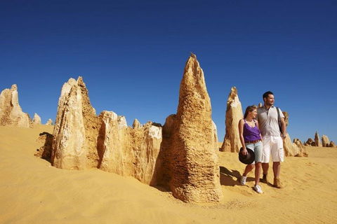 Half Day Pinnacles Sunset Tour - Hotel Gold Coast 4