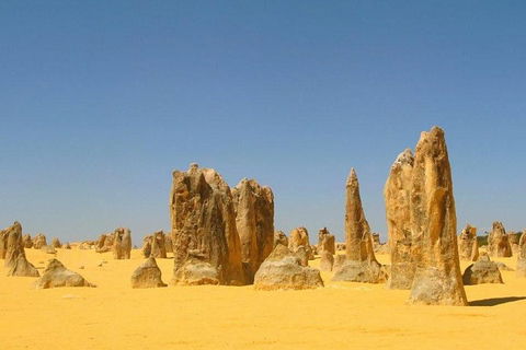Half Day Pinnacles Sunset Tour - Hotel Gold Coast 5
