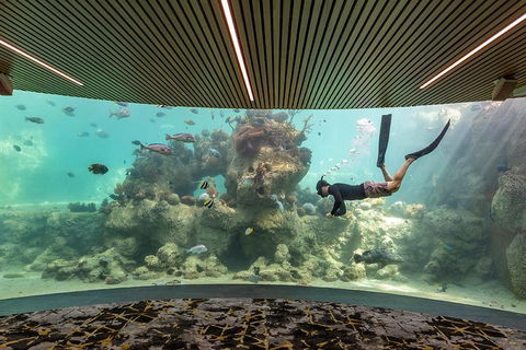 Whitehaven Beach And Daydream Island Cruise - Hotel Gold Coast 4
