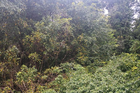 Historic Village Herberton And Tableland Tour - Hotel Gold Coast 4