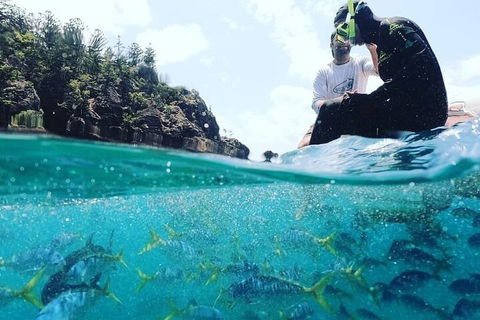 2 Night Small Group Whitsundays Sailing Adventure Aboard Mandrake - Hotel Gold Coast 5