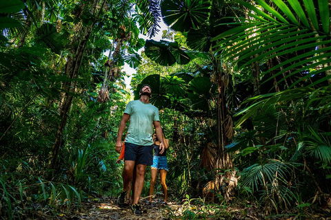 Full Day Daintree Rainforest And Mossman Gorge Tour - Hotel Gold Coast 0