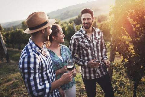 Full Day Mount Tamborine Winery Tour From Gold Coast - Hotel Gold Coast 5