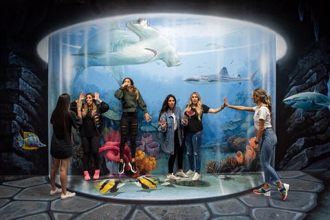 ArtVo Immersive Gallery Experience - Hotel Gold Coast 2