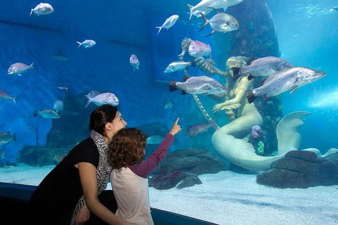 SEA LIFE Melbourne Aquarium Admission Ticket - Hotel Gold Coast 4