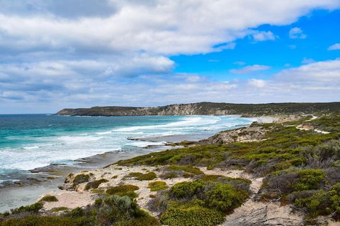 Kangaroo Island Luxury Small Group 'East End Explorer' Full Day Tour - Hotel Gold Coast 0