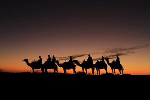 Uluru Small-Group Tour By Camel At Sunrise Or Sunset - Hotel Gold Coast 4