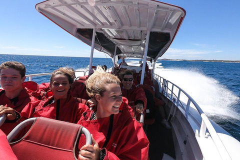 Adventure Rottnest Tour With Ferry & Adventure Cruise From Perth Or Fremantle - Hotel Gold Coast 0