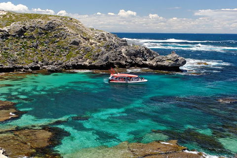 Adventure Rottnest Tour With Ferry & Adventure Cruise From Perth Or Fremantle - Hotel Gold Coast 5