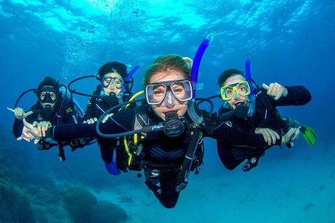 Great Barrier Reef Diving And Snorkeling Cruise From Cairns - Hotel Gold Coast 0