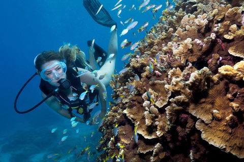 Great Barrier Reef Diving And Snorkeling Cruise From Cairns - Hotel Gold Coast 1