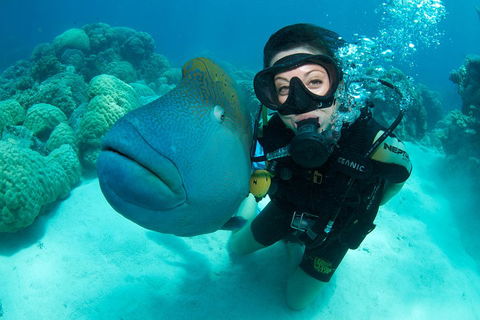 Great Barrier Reef Diving And Snorkeling Cruise From Cairns - Hotel Gold Coast 2