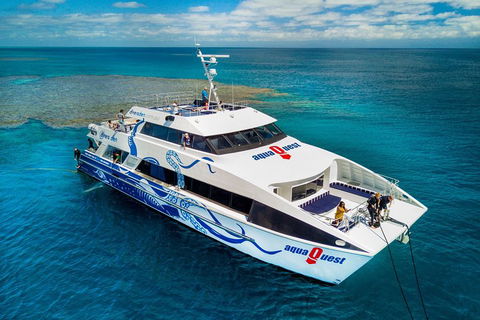 Great Barrier Reef Diving And Snorkeling Cruise From Cairns - Hotel Gold Coast 5