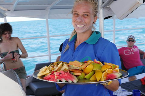Ocean Free Green Island & Great Barrier Reef Snorkel Cruise, Cairns 25 Guests - Hotel Gold Coast 1