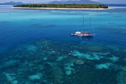 Ocean Free Green Island & Great Barrier Reef Snorkel Cruise, Cairns 25 Guests - Hotel Gold Coast 2