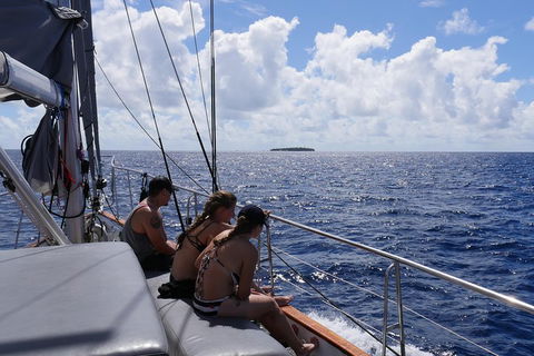 Ocean Free Green Island & Great Barrier Reef Snorkel Cruise, Cairns 25 Guests - Hotel Gold Coast 4